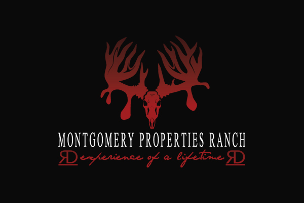 Logo Downloads