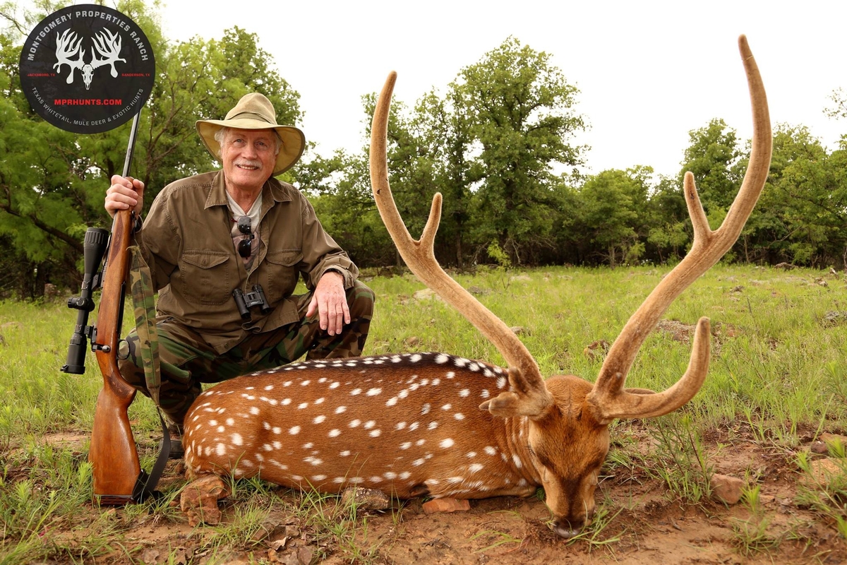 Rates to hunt exotics in Texas