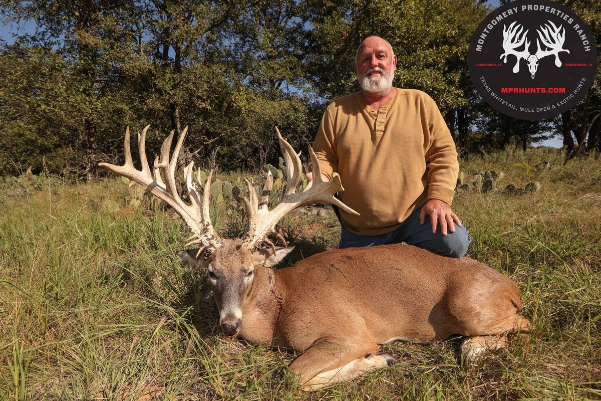 High Fence Hunting Rates Texas