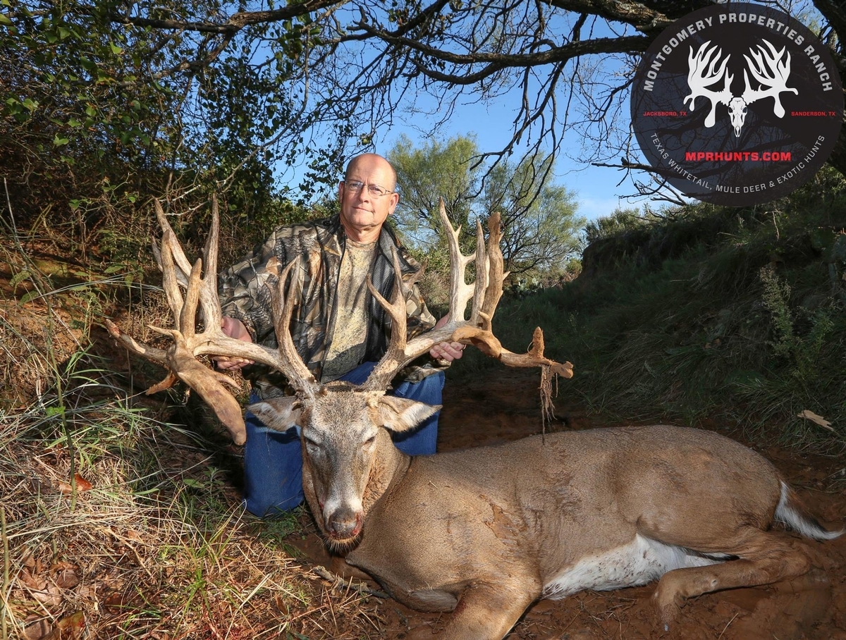 High Fence Hunting Ranch in Texas - 2025