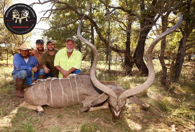 Texas Exotic Hunting Outfitter Montgomery Properties Ranch Close To Dfw Texas Exotic Hunting Outfitter Montgomery Properties Ranch Close To Dfw