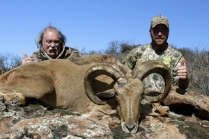 Aoudad Sheep<br>$4,950 - $6,000