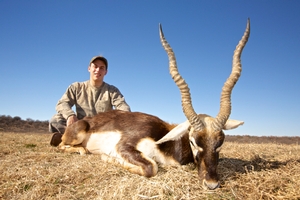 Blackbuck