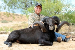 Black Hawaiian Sheep