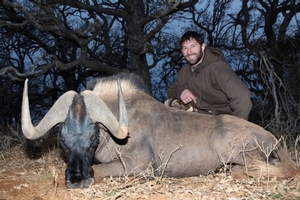 Black Wildebeest<br>$16,000