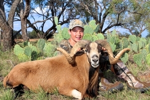 Corsican Sheep<br>$4,500