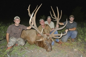 Texas Elk