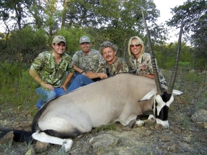 Gemsbok