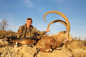 Nubian Ibex