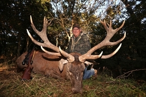 Red Stag Deer<br>$12,500 - $25,500+