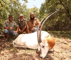 Scimitar Oryx