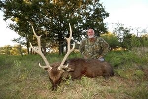 Sika Deer<br>$6,500