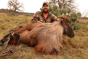 Himalayan Tahr<br>$8,500
