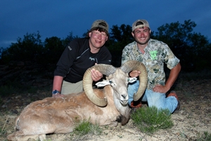 Transcapian Urial Sheep