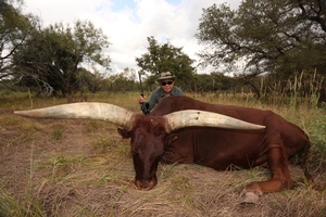 Watusi