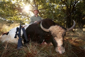 Yak