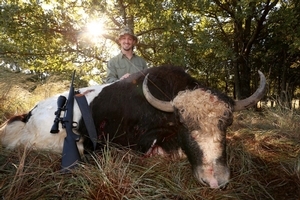 Yak<br>$6,000